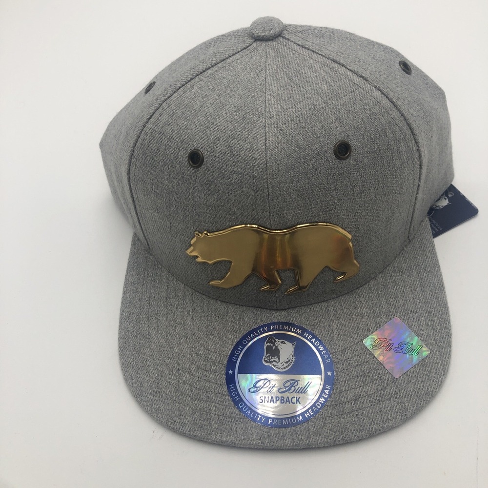 California Gold Bear SnapBack Hat One Size New With Tags Gray Adult Unisex